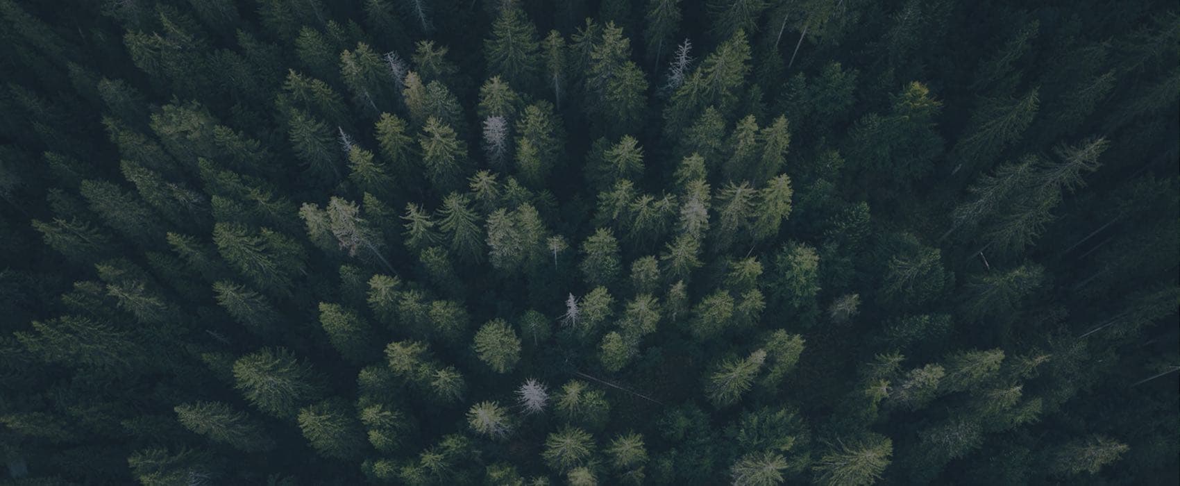 About Us Background